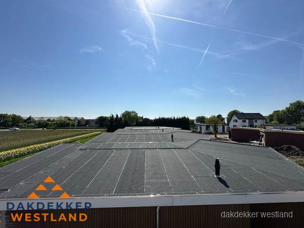 Groot plat dak met bitumen dakbedekking op bedrijfspand in Westland Groot plat dak met bitumen dakbedekking op bedrijfspand in Westland